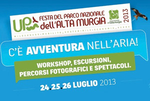 up grafica 2013 